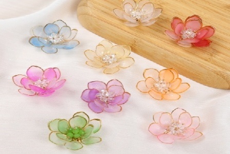 利辛县养心地种植专业合作社形象图